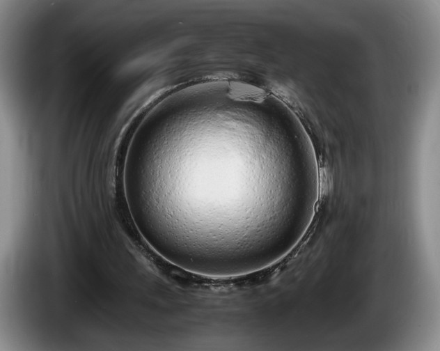 X0000086230243200704051203