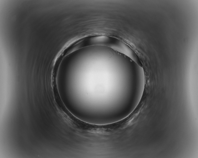 X0000086230244200704051203