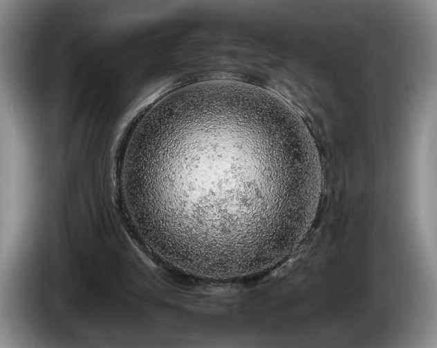 X0000086230245200704051203