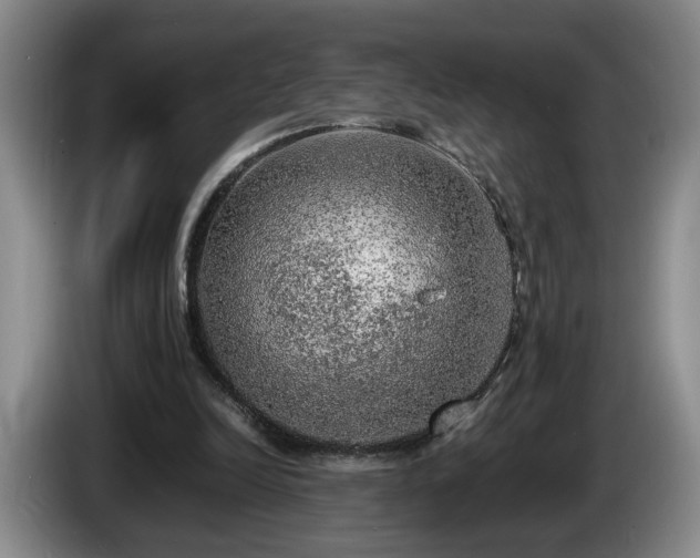 X0000086230246200704051203