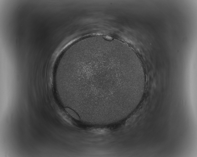 X0000086230247200704051203