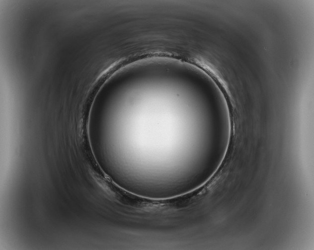 X0000086230249200704051203