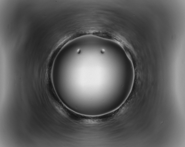 X0000086230250200704051203