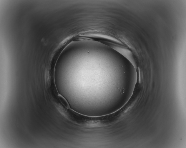 X0000086230252200704051203