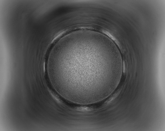 X0000086230253200704051203