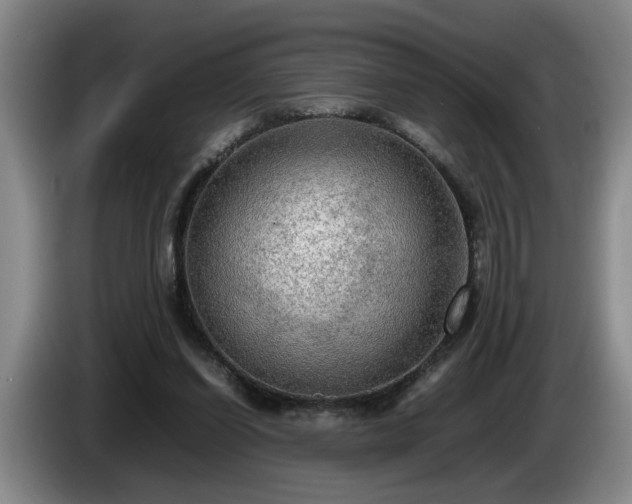 X0000086230254200704051203