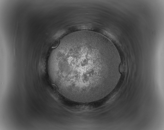 X0000086230255200704051203