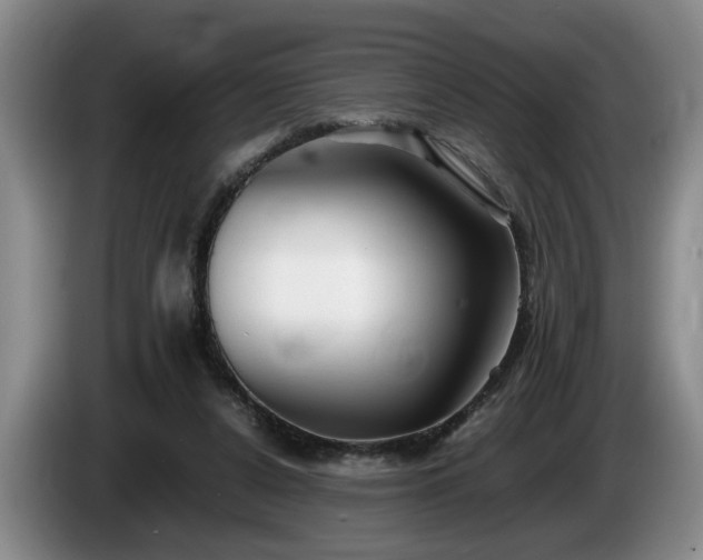 X0000086230256200704051203