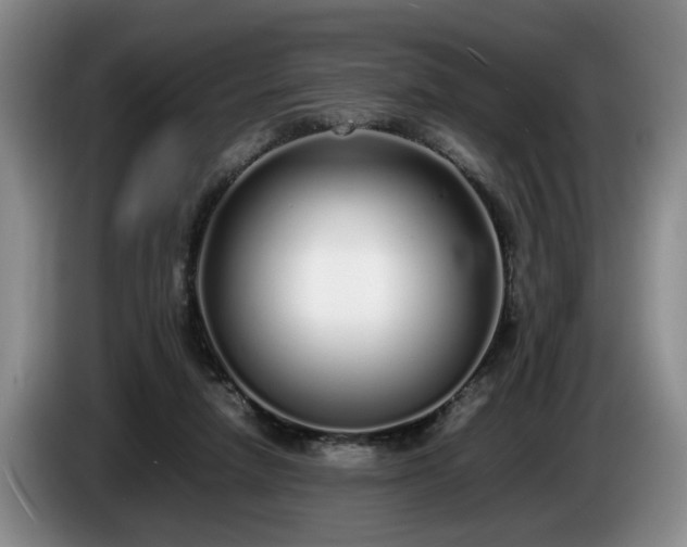 X0000086230258200704051203