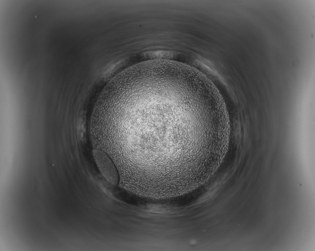 X0000086230259200704051203