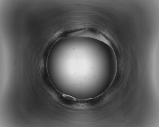 X0000086230260200704051203