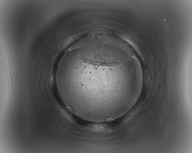 X0000086230261200704051203