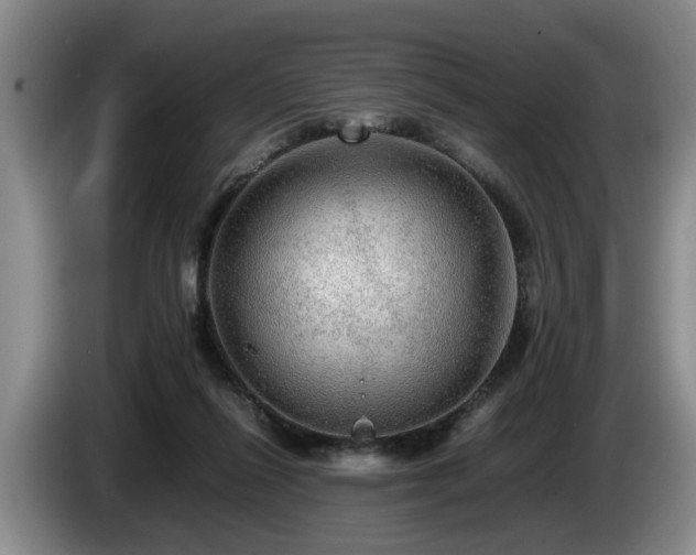 X0000086230262200704051203