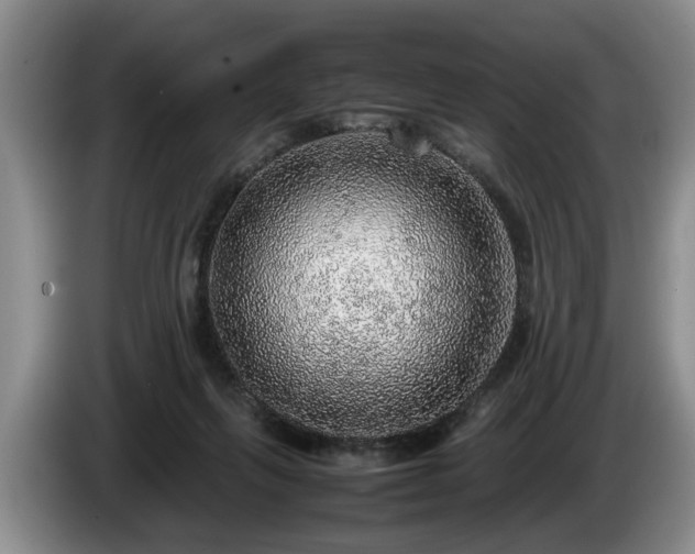 X0000086230263200704051203