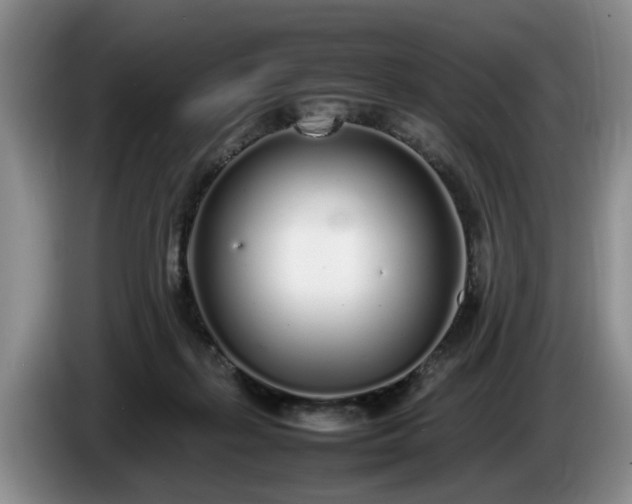 X0000086230267200704051203