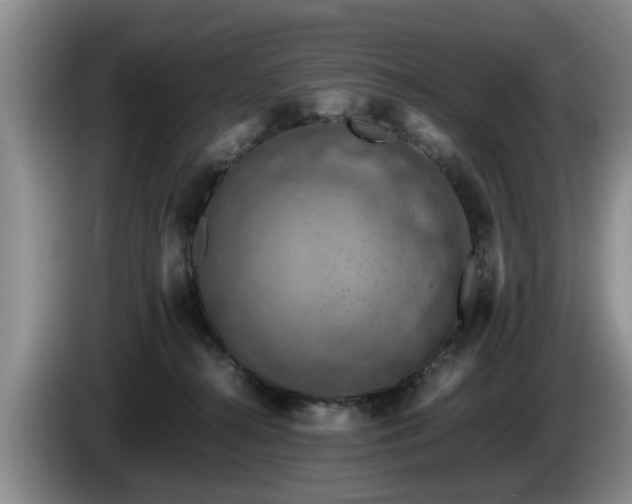 X0000086230272200704051203