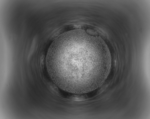 X0000086230275200704051203