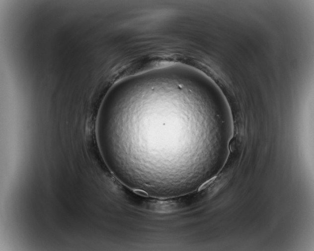 X0000086230277200704051203