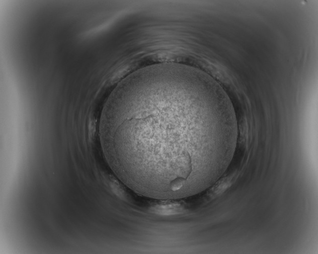 X0000086230278200704051204