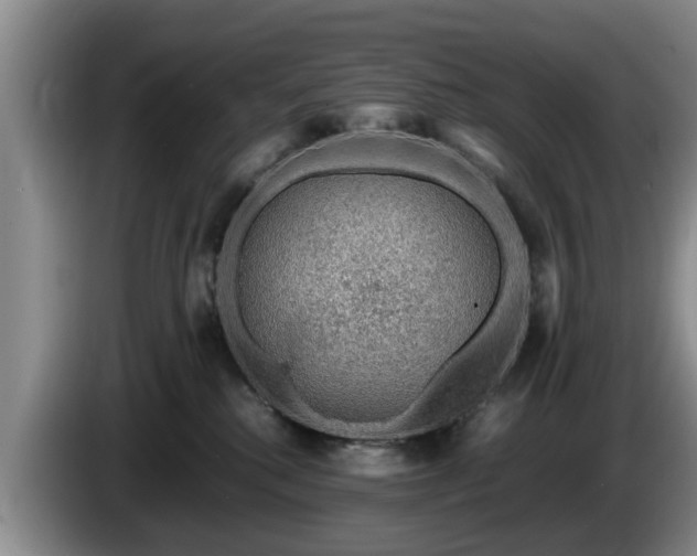 X0000086230280200704051204