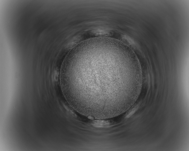 X0000086230281200704051204