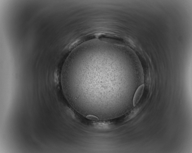 X0000086230282200704051204