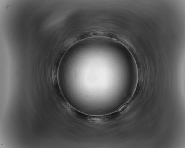 X0000086230285200704051204