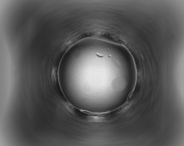 X0000086230286200704051204