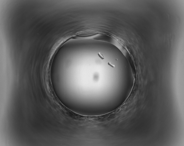 X0000086230289200704051203