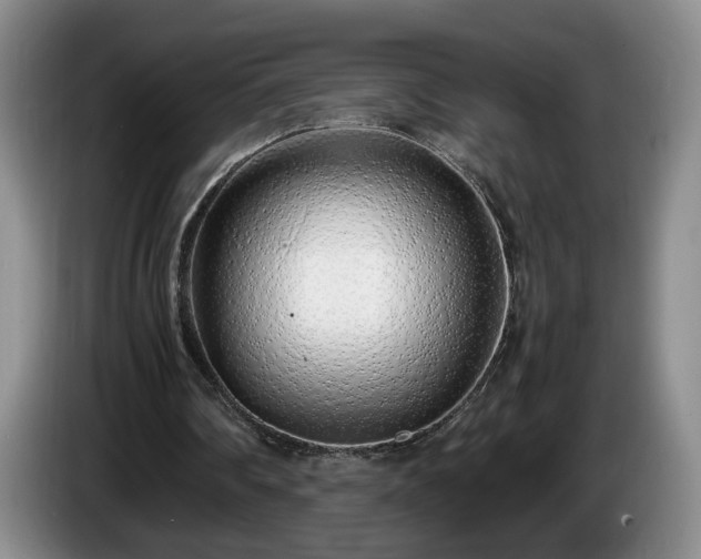 X0000086230290200704051203