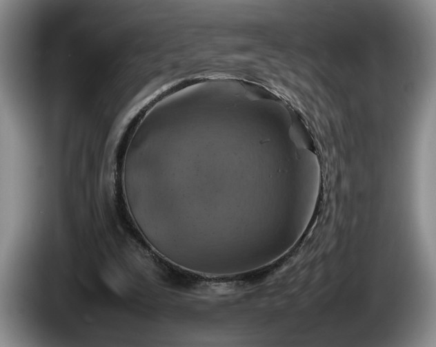 X0000086230295200704051203