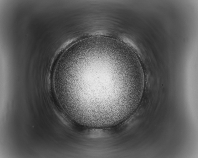 X0000086230298200704051203