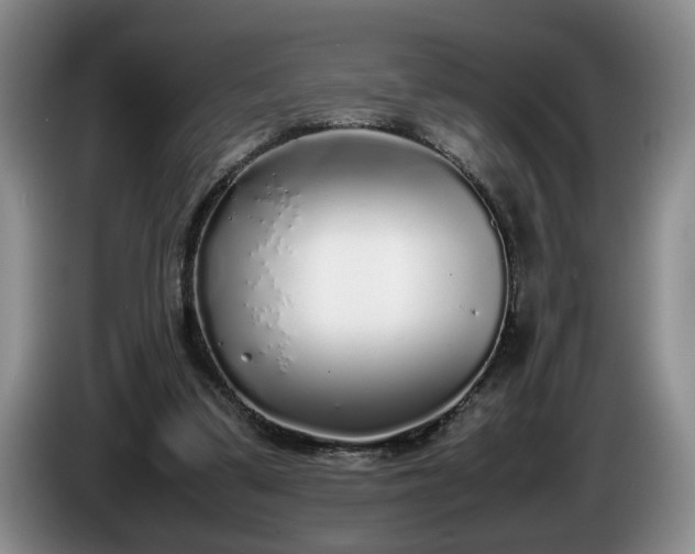 X0000086230299200704051203