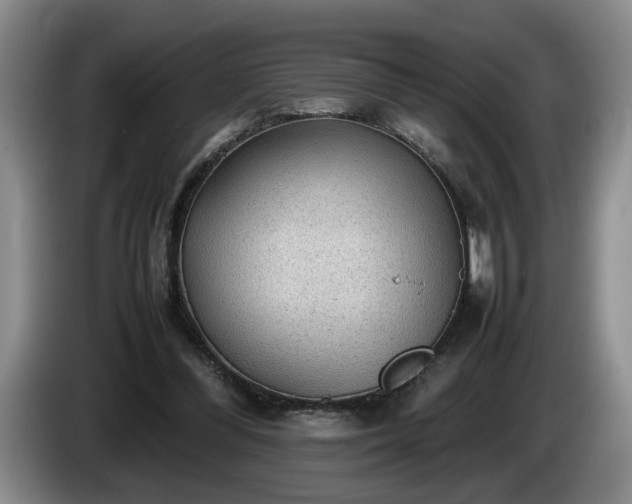 X0000086230300200704051203