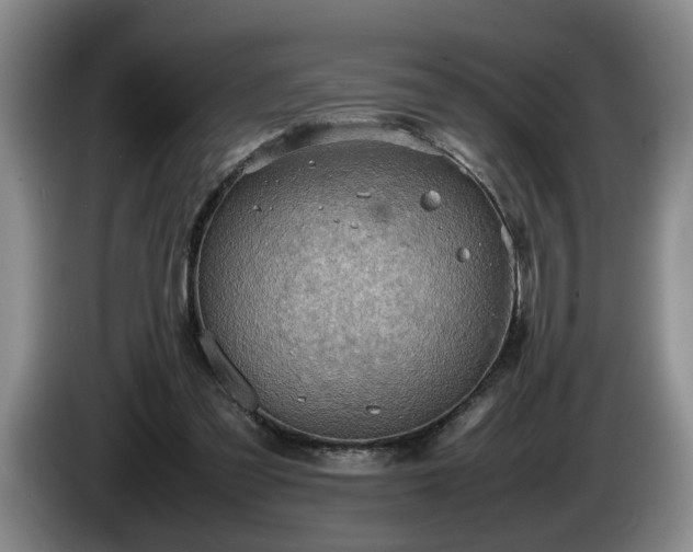 X0000086230301200704051203