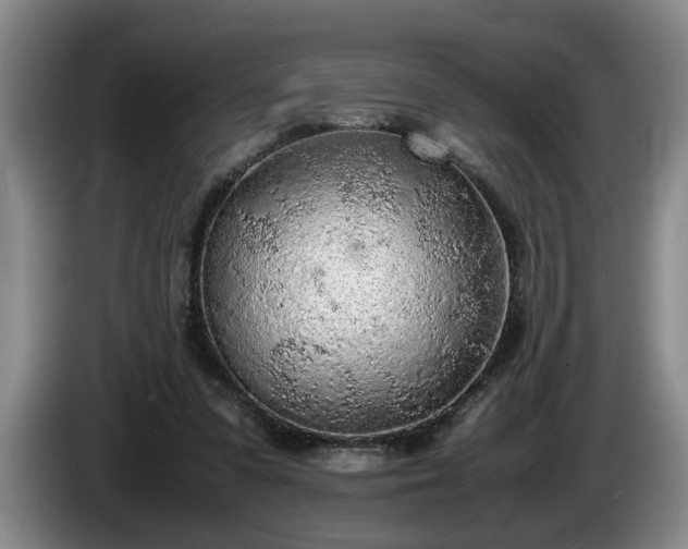 X0000086230303200704051203