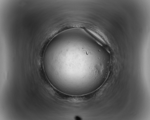 X0000086230305200704051203