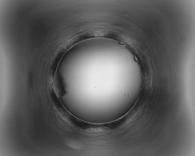 X0000086230307200704051203