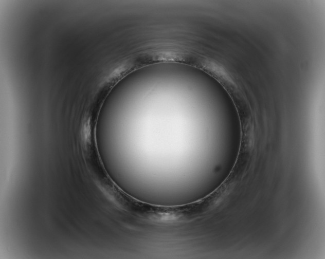 X0000086230310200704051203