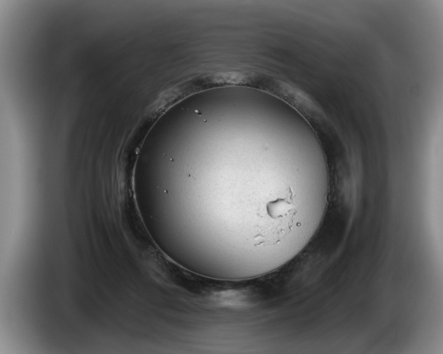 X0000086230312200704051203