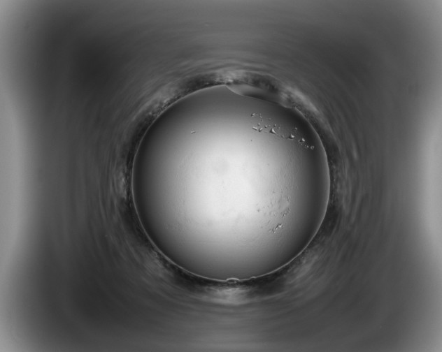 X0000086230313200704051203