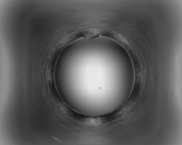 X0000086230317200704051203