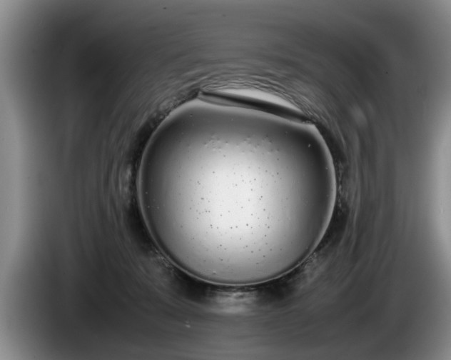 X0000086230319200704051202