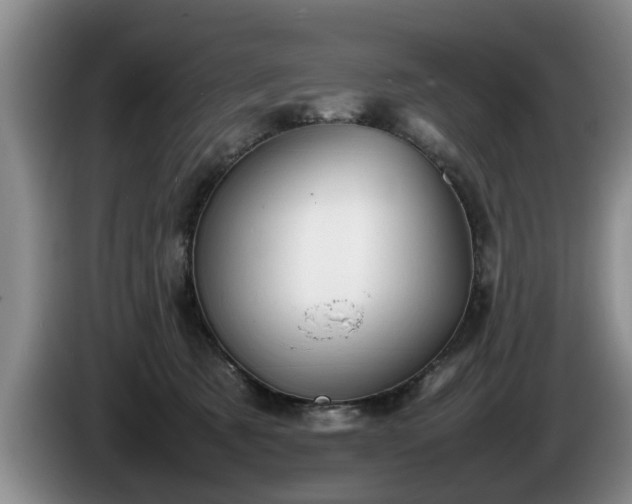 X0000086230321200704051202