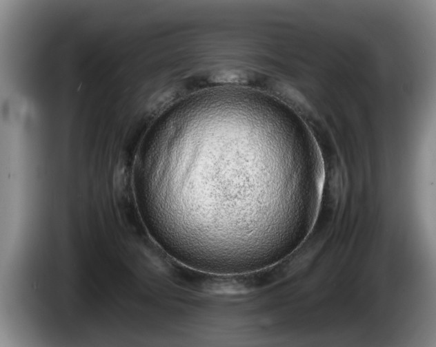 X0000086230322200704051202