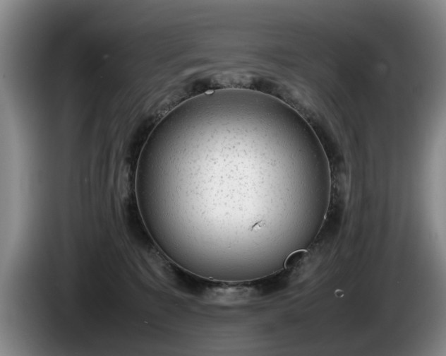 X0000086230323200704051202