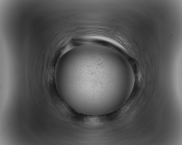 X0000086230325200704051202