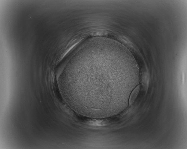 X0000086230326200704051202