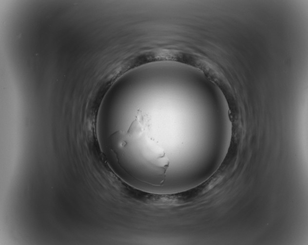 X0000086230329200704051202