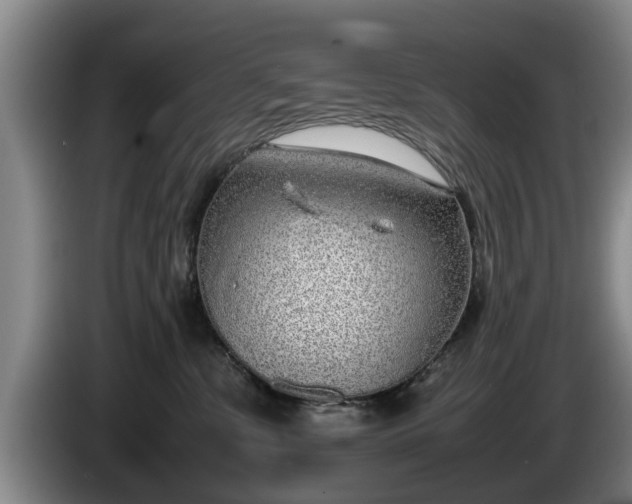 X0000086230331200704051202